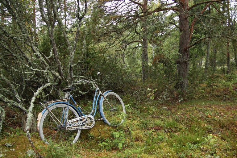 Crescent im tiefen Wald