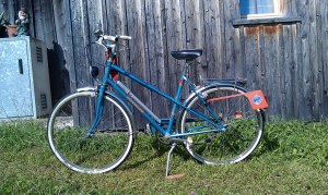 Tafel 3: Jugendrad, wohlproportioniert