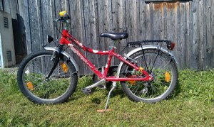 Tafel 1: Schlumpfrad