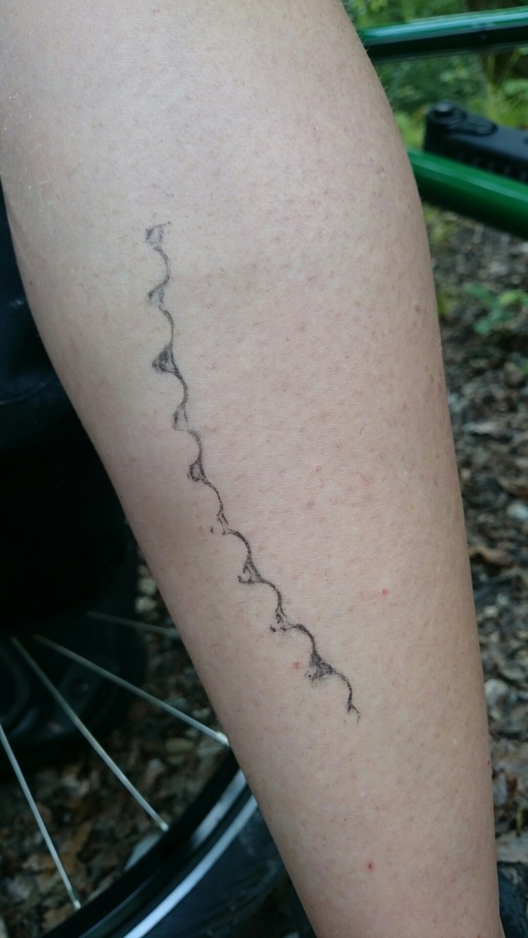 wp-1438100624248 image