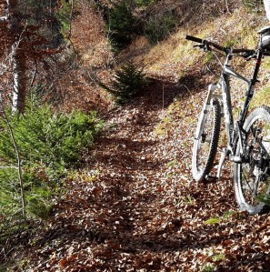 santaride16_01a_resize