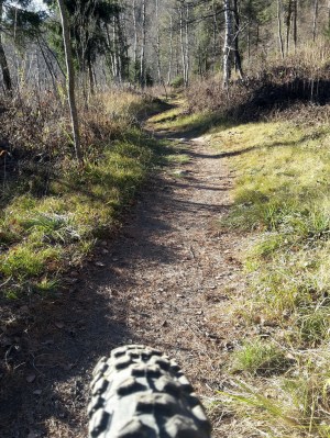 santaride16_08_resize